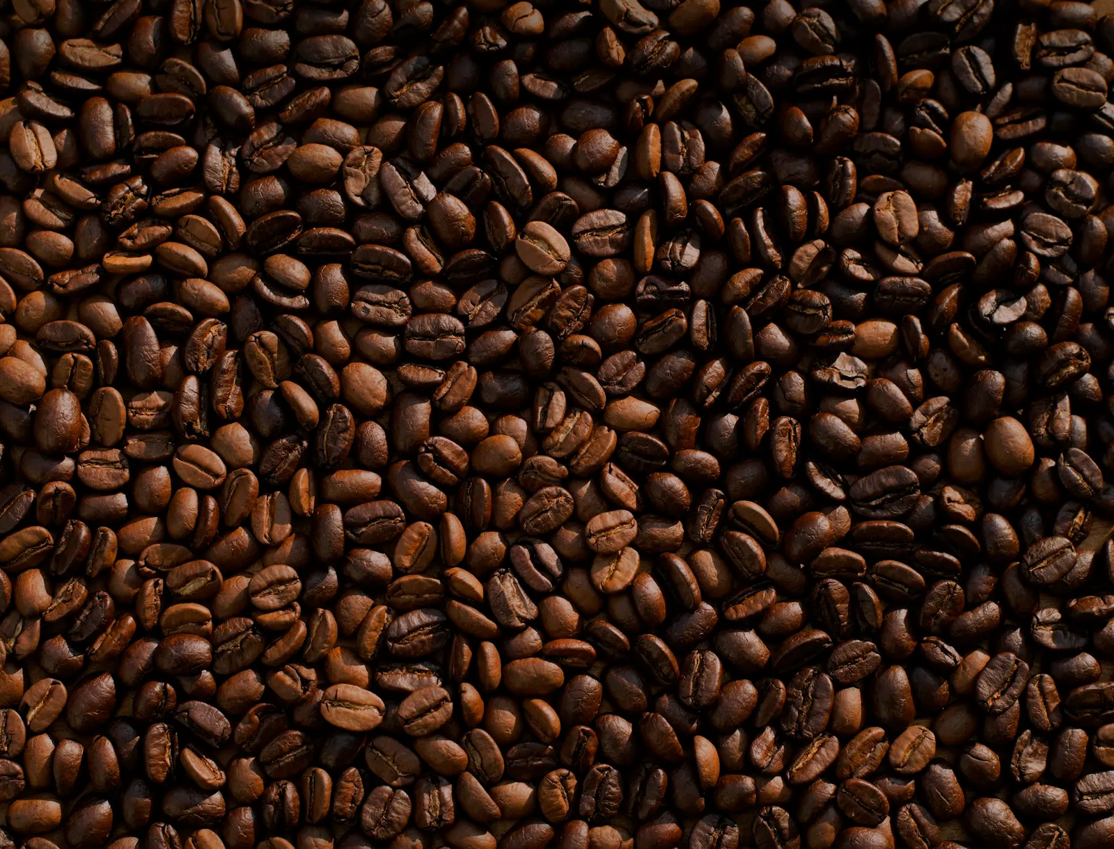 Roasted coffee beans filling the frame
