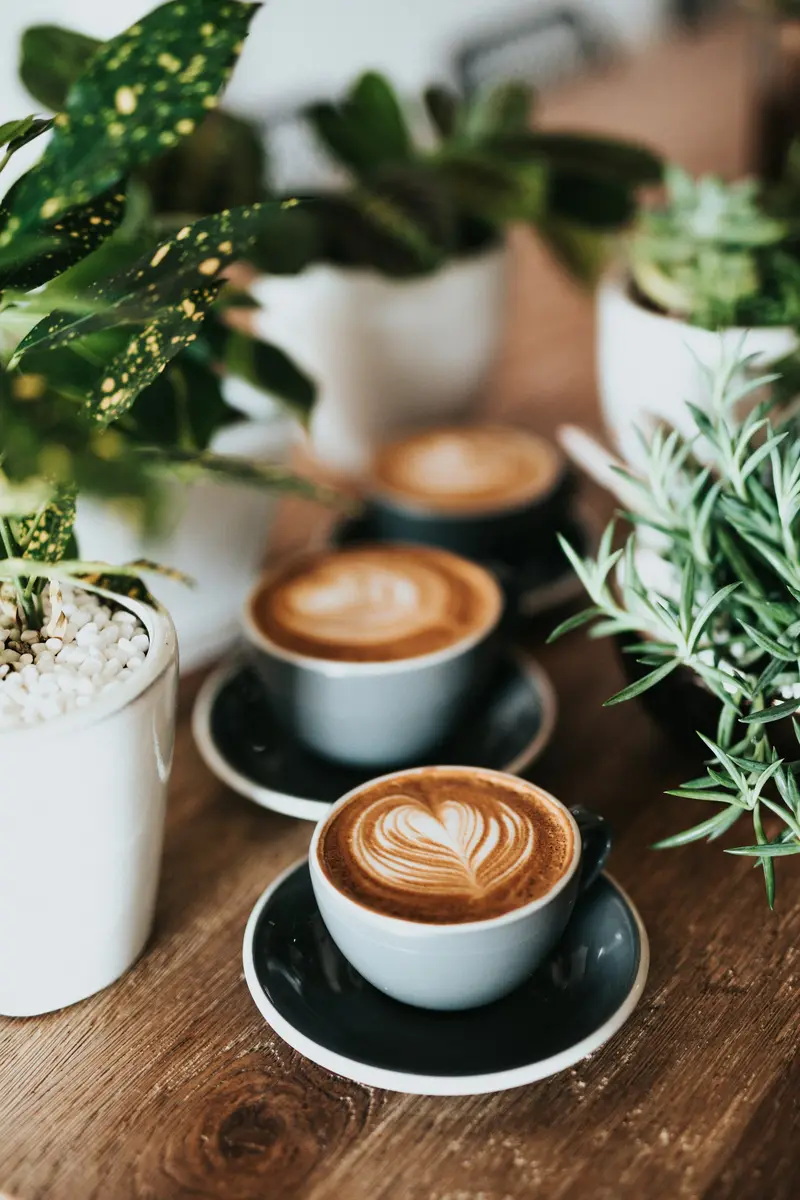 Two cappuccinos with latte art next to green plants