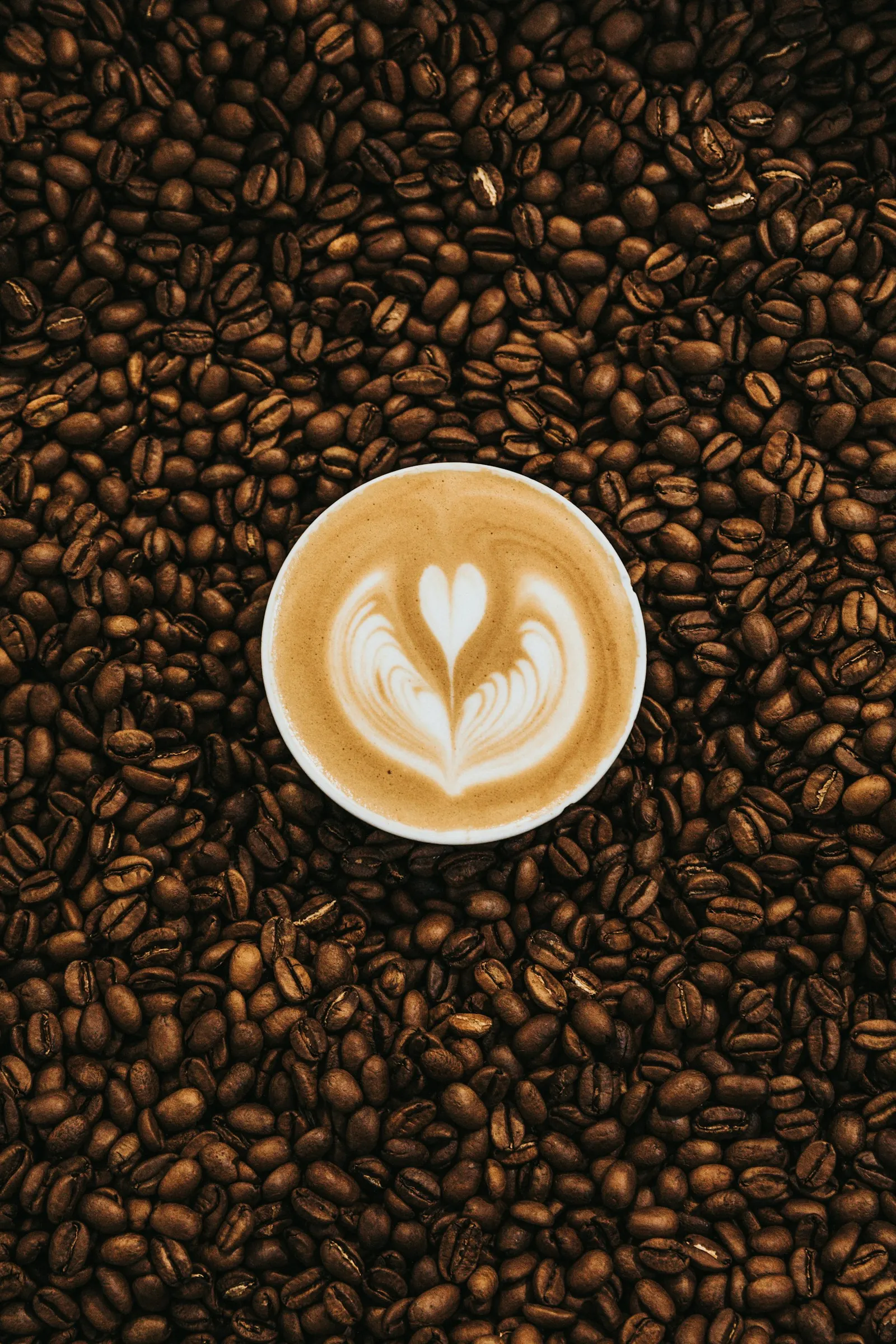 A cappuccino with heart latte art resting on coffee beans